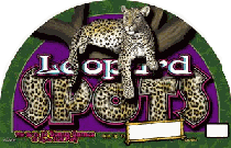 Leopard Spots Slot Game